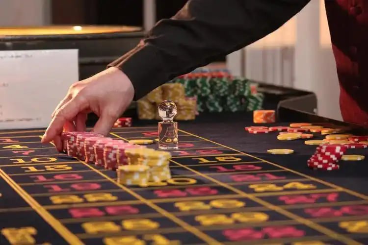 betwinner