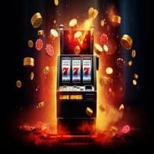 betwinner